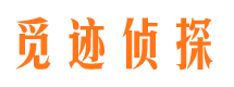 中阳外遇调查取证